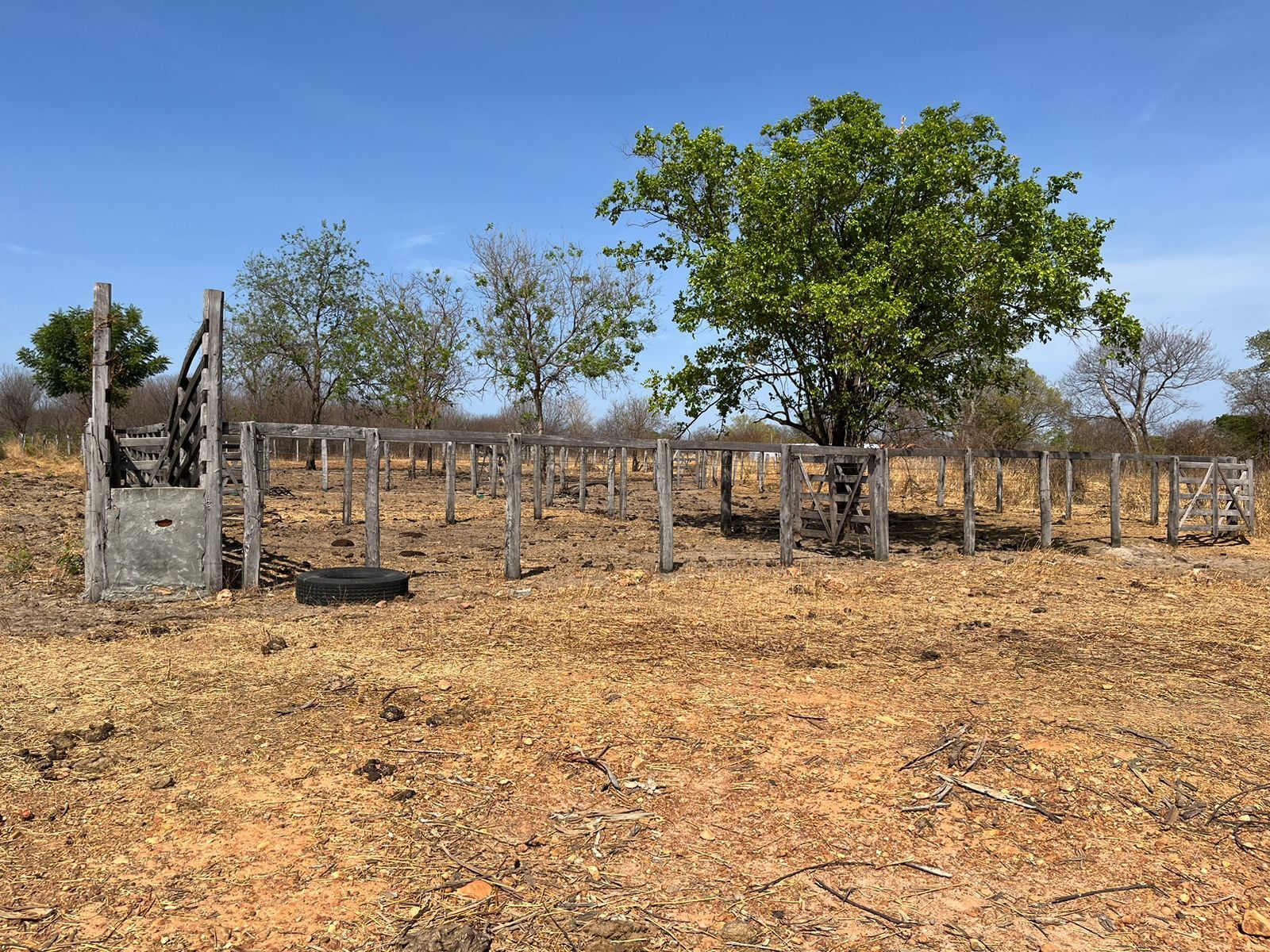 Fazenda de 536 ha em Ibotirama, BA