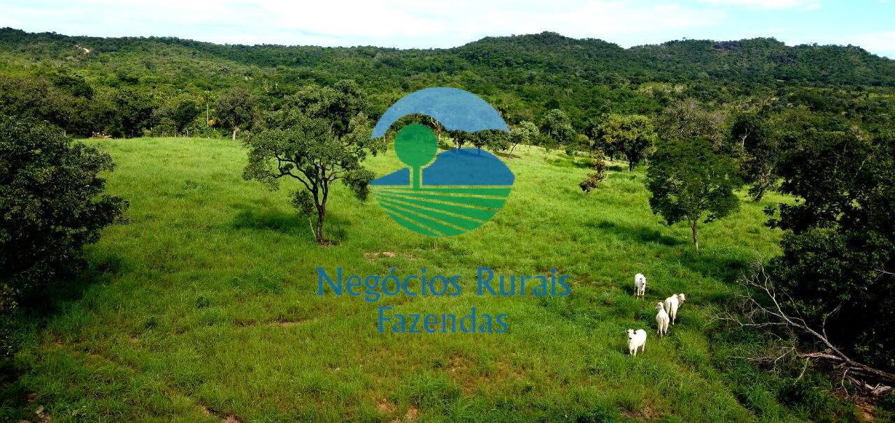 Fazenda de 837 ha em Crixás, GO