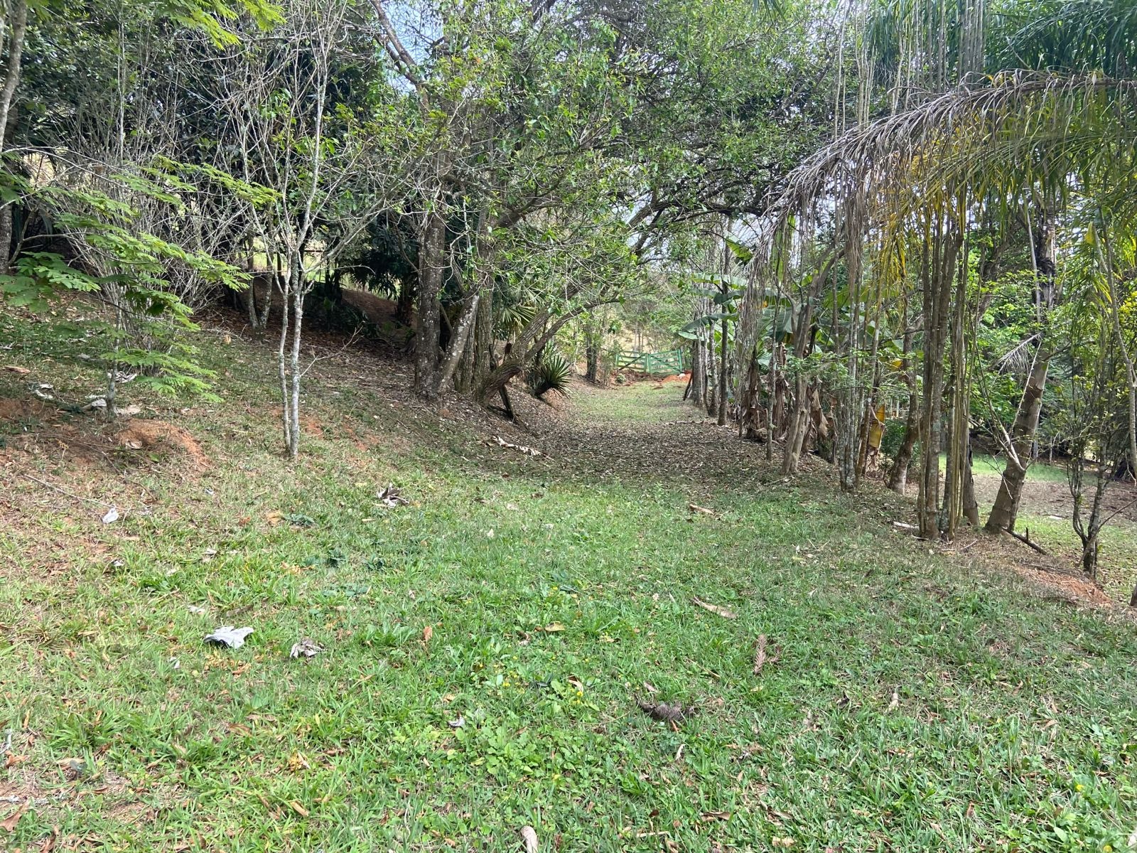 Sítio de 6 ha em São José dos Campos, SP