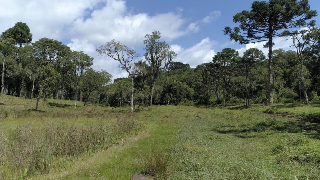 Sítio de 20 ha em Urubici, SC