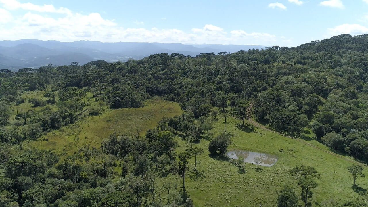 Sítio de 20 ha em Urubici, SC