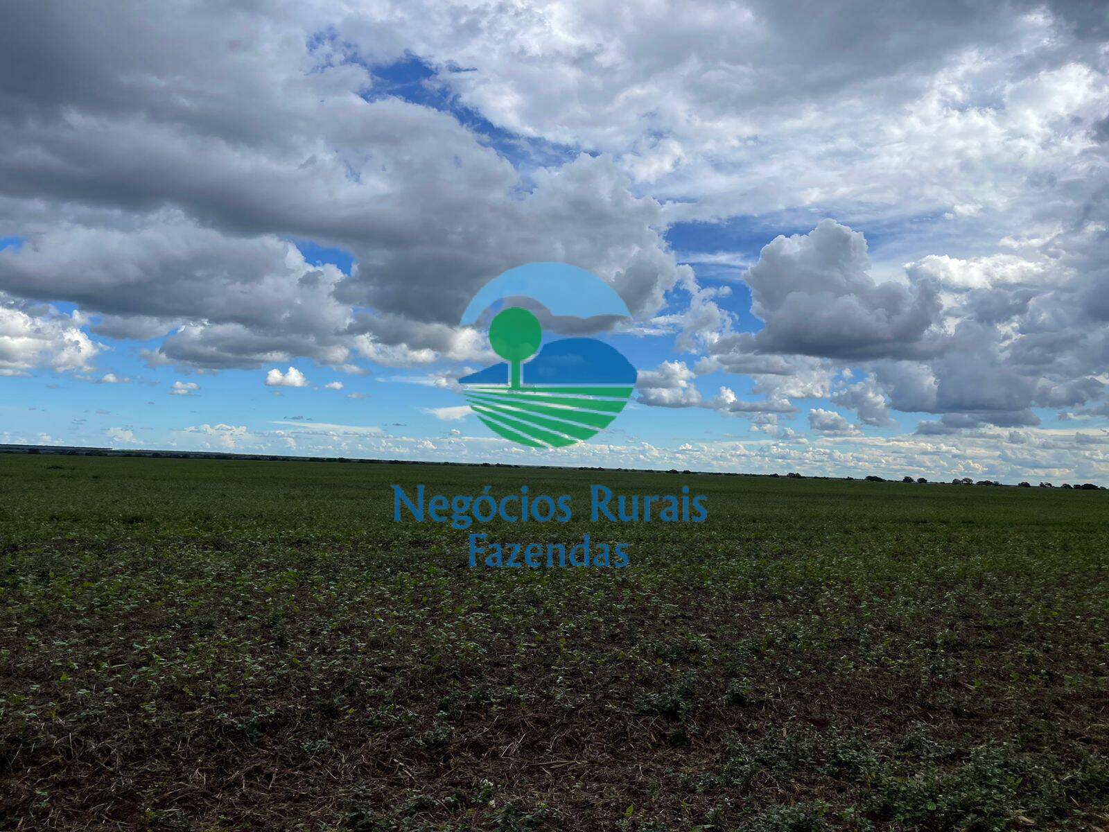 Fazenda de 10.930 ha em Uruaçu, GO
