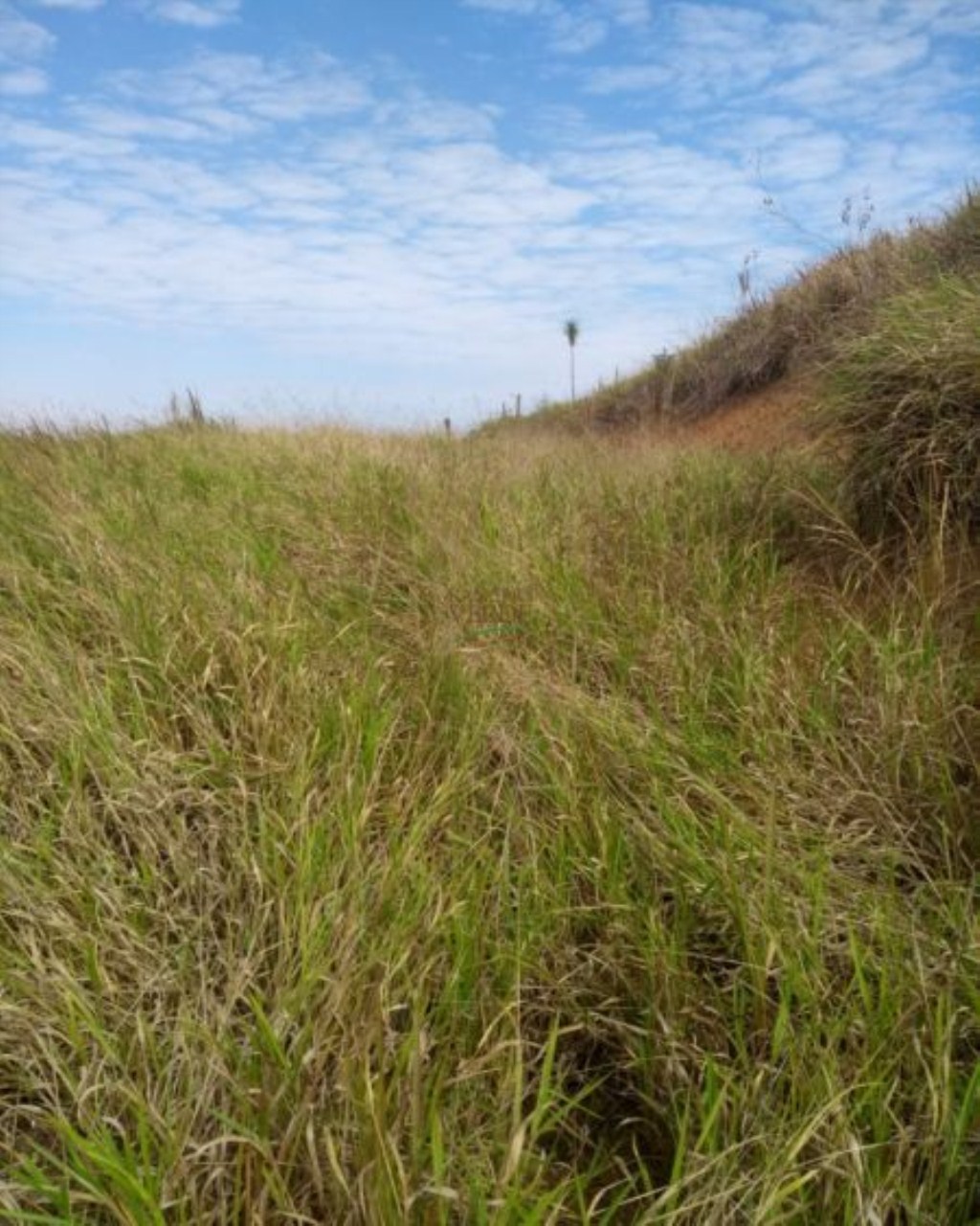 Terreno de 1.600 m² em São José dos Campos, SP