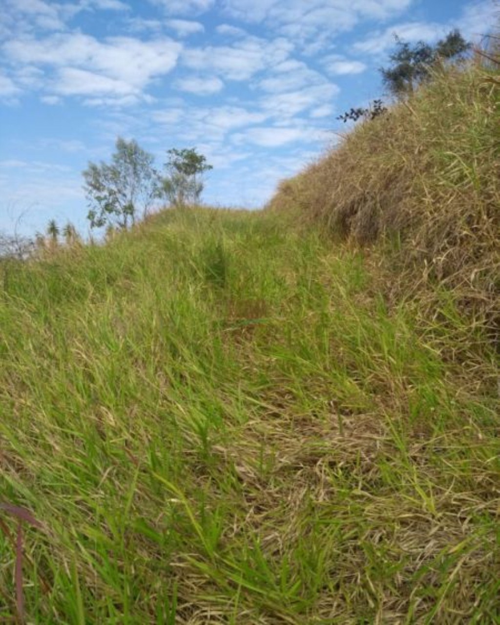 Terreno de 1.600 m² em São José dos Campos, SP