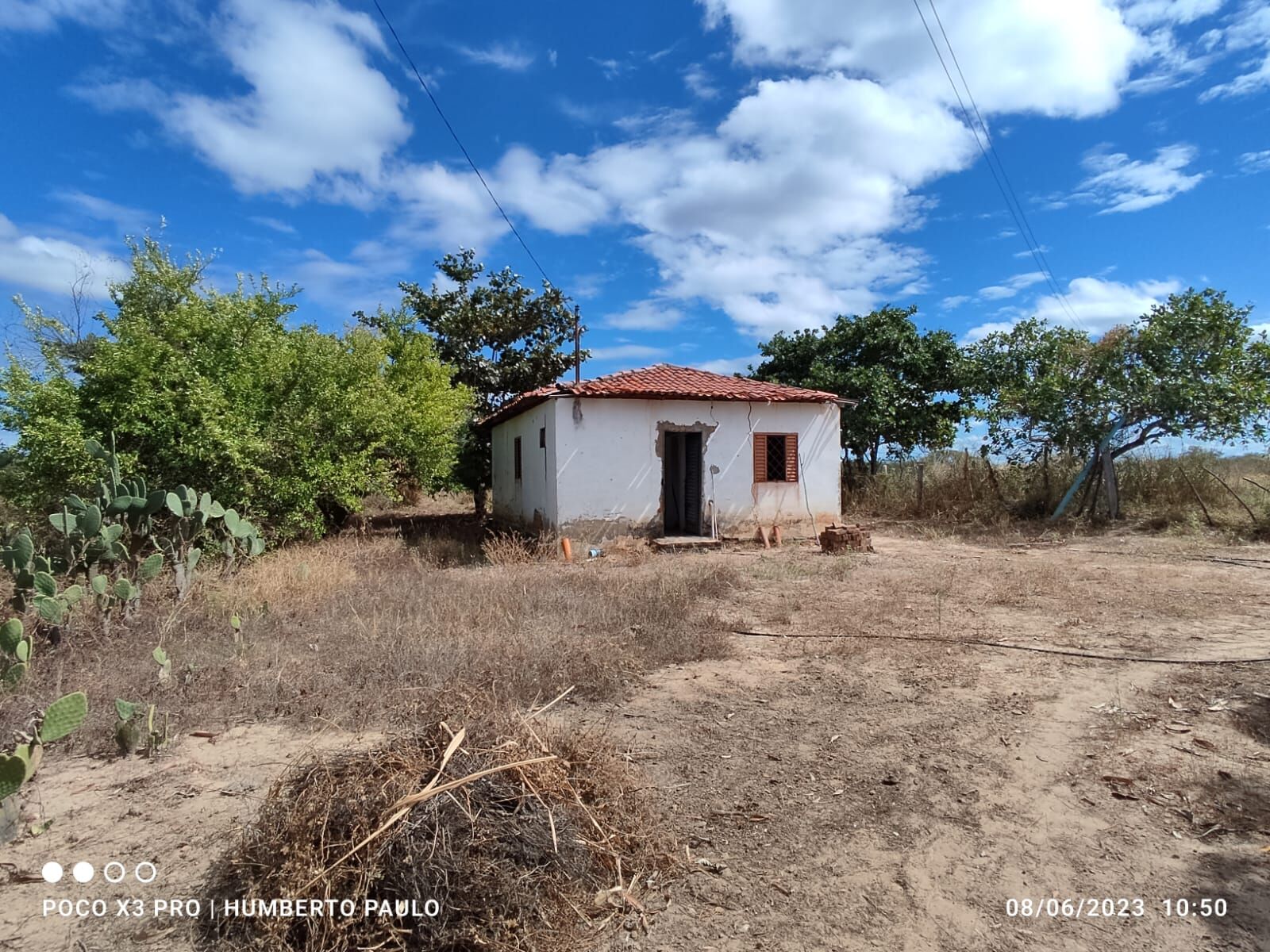 Fazenda de 645 ha em Ibotirama, BA