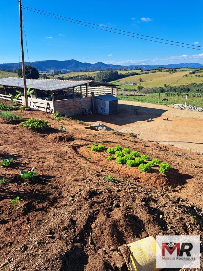 Sítio de 6 ha em Careaçu, MG