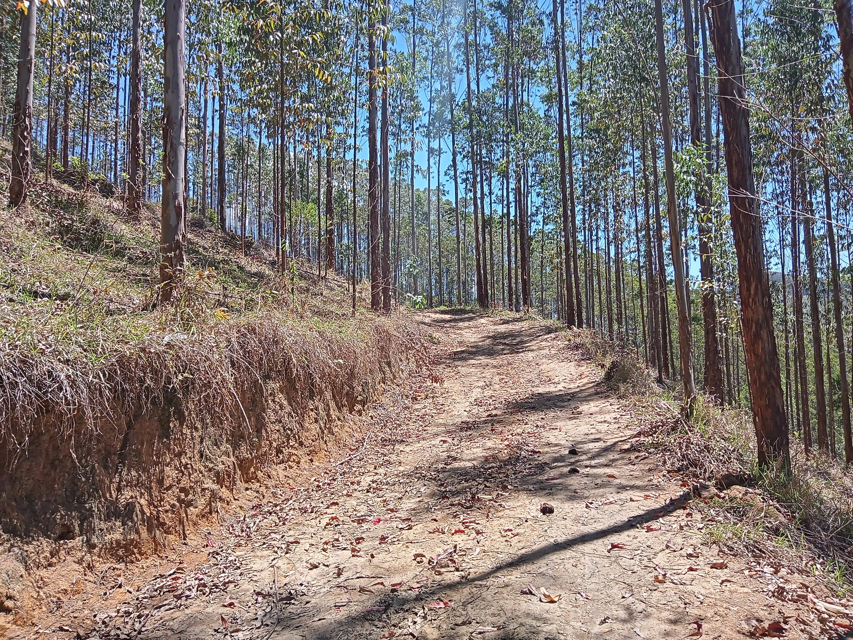 Fazenda de 42 ha em Natividade da Serra, SP