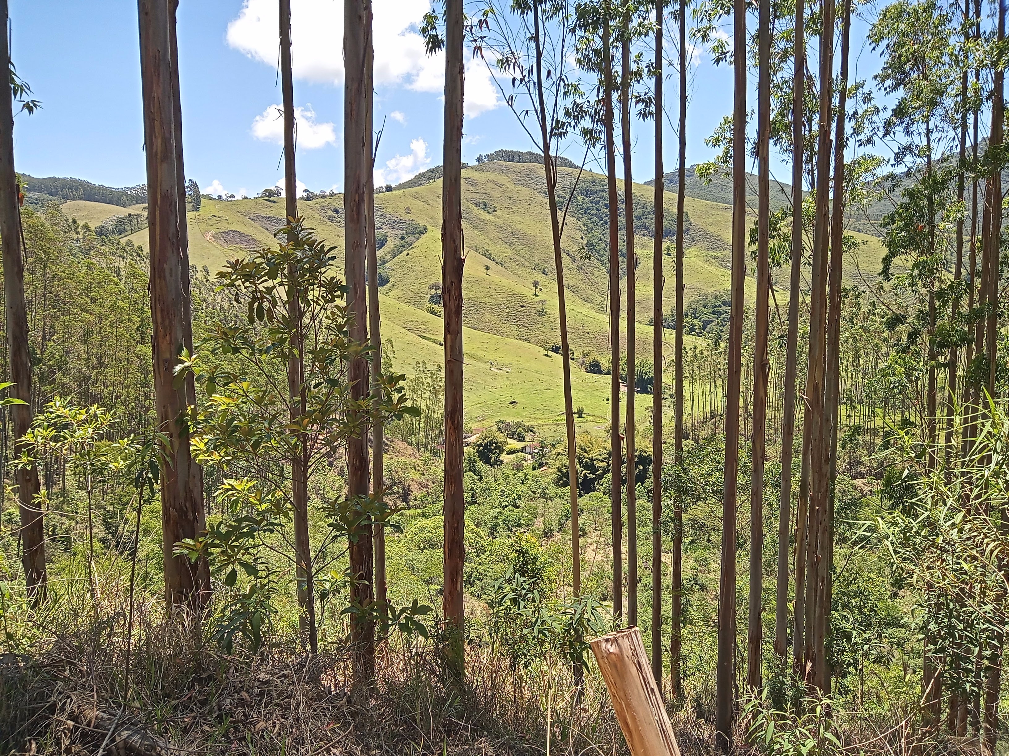 Fazenda de 42 ha em Natividade da Serra, SP