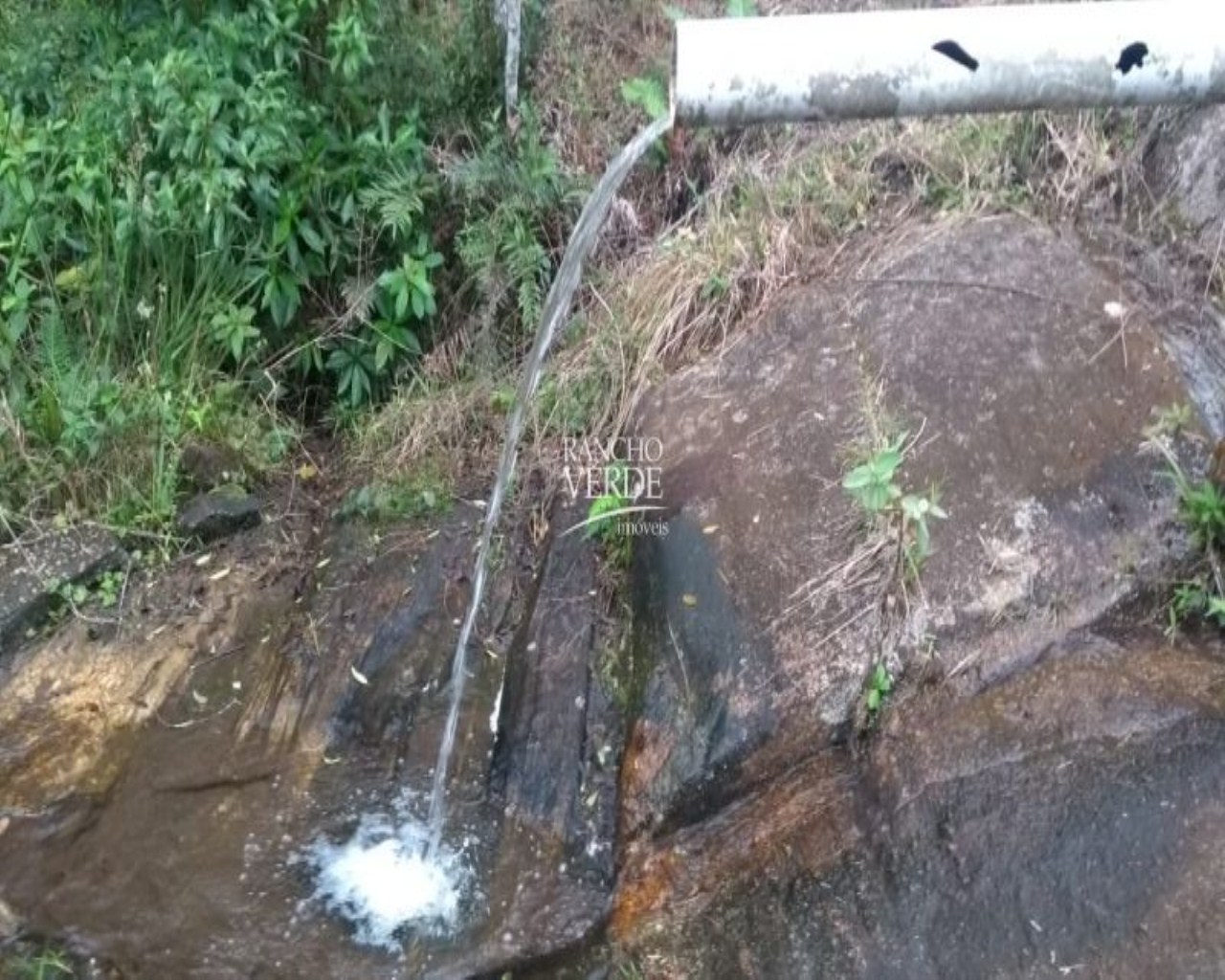 Sítio de 77 ha em Paraibuna, SP