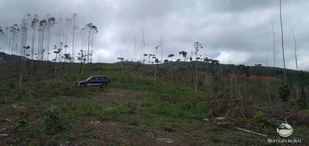 Terreno de 2 ha em Monteiro Lobato, SP