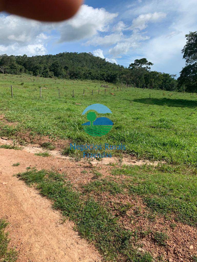 Fazenda de 1.210 ha em Campinaçu, GO