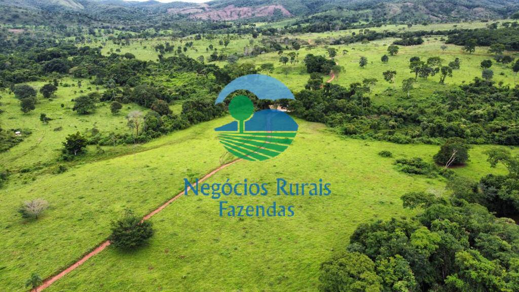 Fazenda de 1.210 ha em Campinaçu, GO