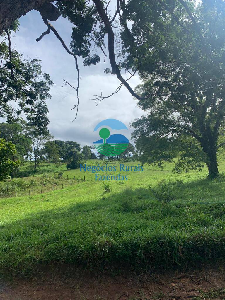 Fazenda de 1.210 ha em Campinaçu, GO