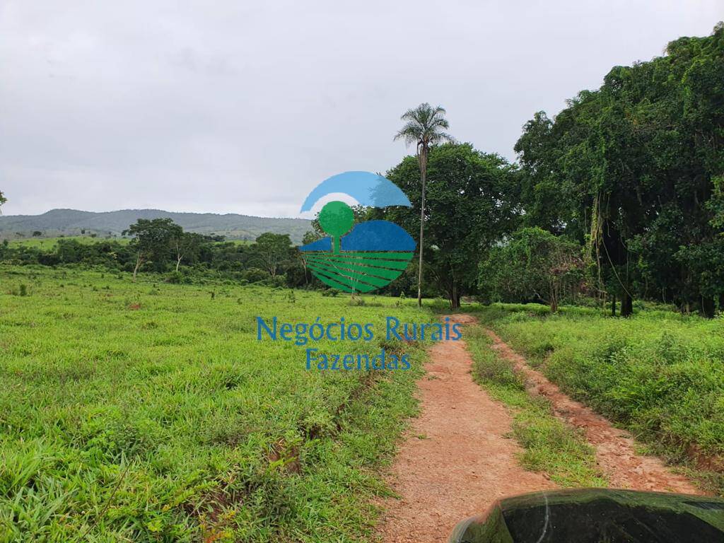 Fazenda de 1.210 ha em Campinaçu, GO