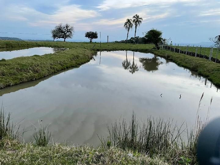 Chácara de 28 ha em Glorinha, RS