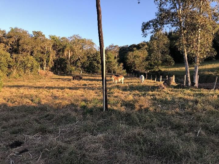 Sítio de 2 ha em Santo Antônio da Patrulha, RS