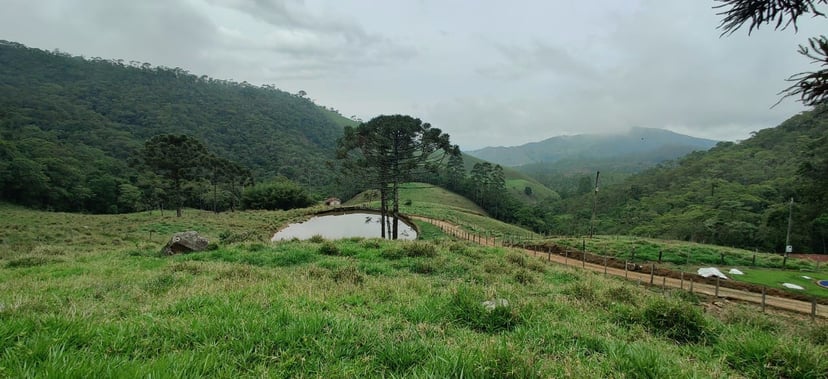 Sítio de 65 ha em Cruzeiro, SP