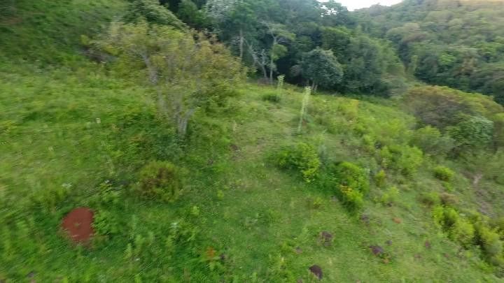 Chácara de 10 ha em Santo Antônio da Patrulha, RS