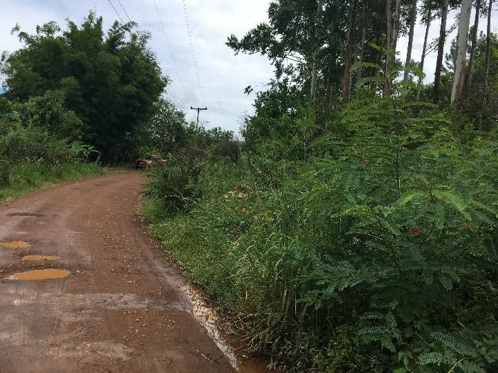 Chácara de 5.300 m² em Rolante, RS