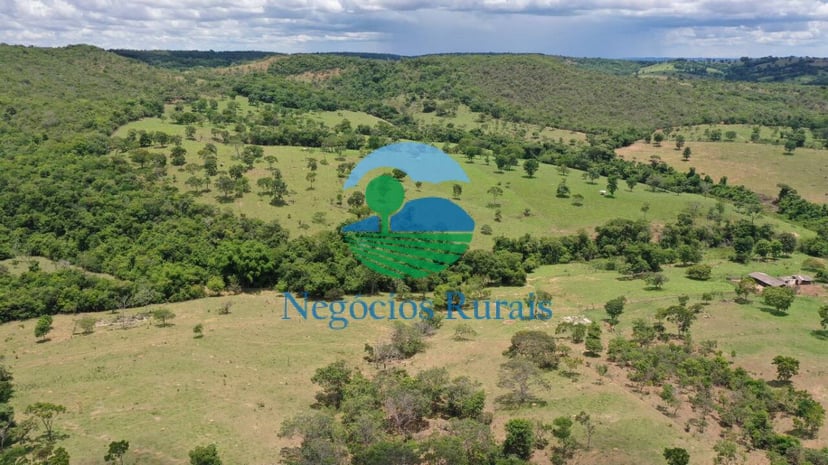 Fazenda de 121 ha em Bela Vista de Goiás, GO