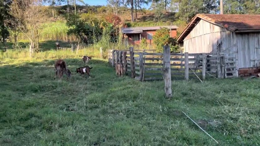 Chácara de 2 ha em Santo Antônio da Patrulha, RS