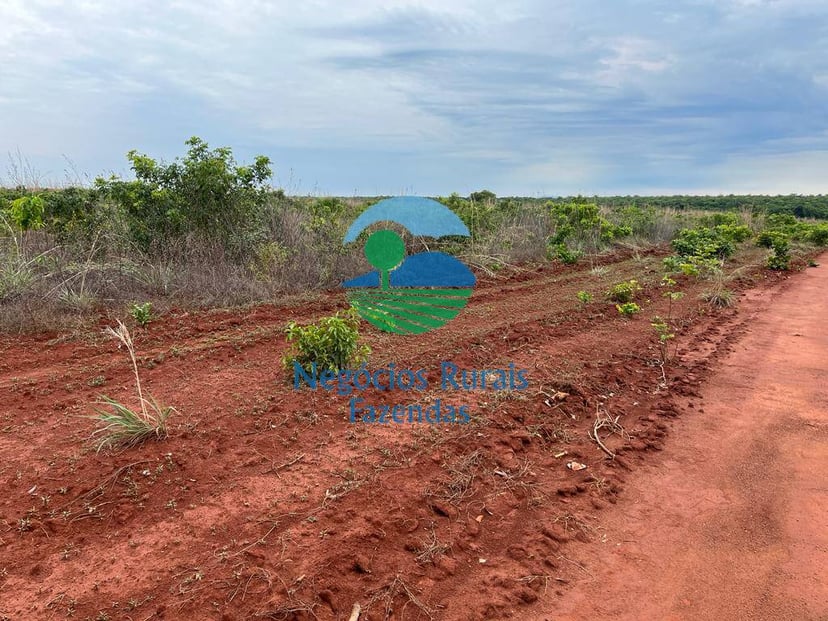 Fazenda de 1.026 ha em Jaú do Tocantins, TO