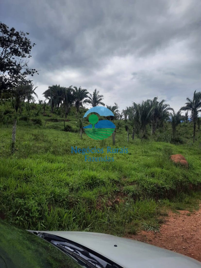 Fazenda de 401 ha em Mimoso de Goiás, GO