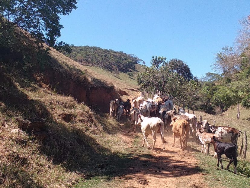 Fazenda de 157 ha em Cunha, SP