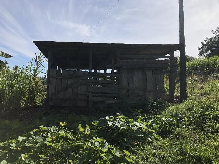 Sítio de 2 ha em Santo Antônio da Patrulha, RS