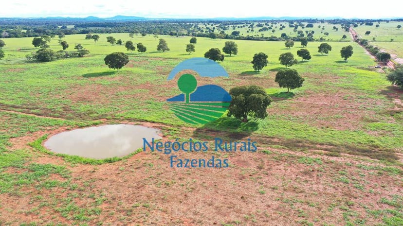 Fazenda de 1.180 ha em Araguapaz, GO