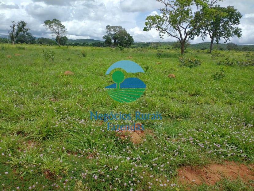 Fazenda de 968 ha em Silvanópolis, TO