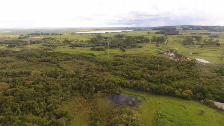 Chácara de 1 ha em Rolante, RS