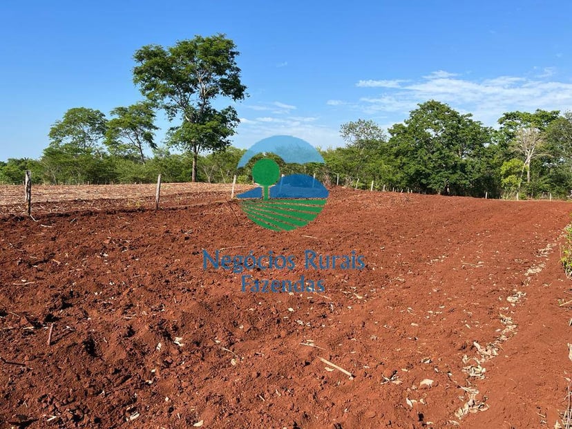 Fazenda de 1.258 ha em Palmeirópolis, TO