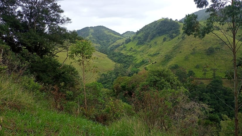 Terreno de 2 ha em São José dos Campos, SP