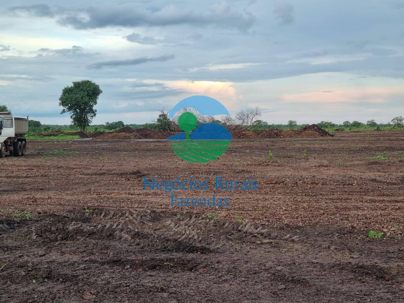 Fazenda de 600 ha em Marianópolis do Tocantins, TO